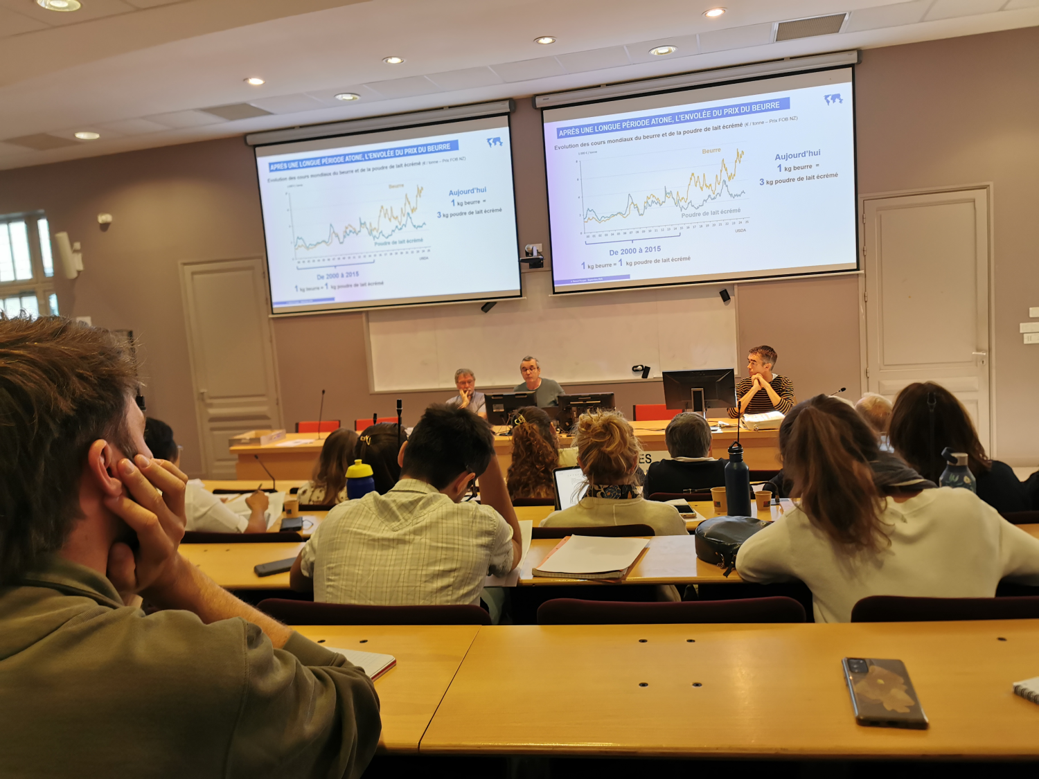 Vaches bretonnes pie noir