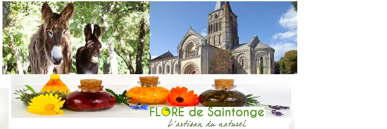 Visite en Saintonge